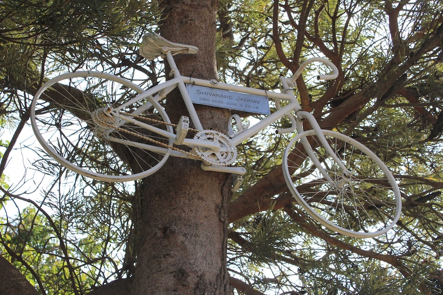 A white painted bike on a tree