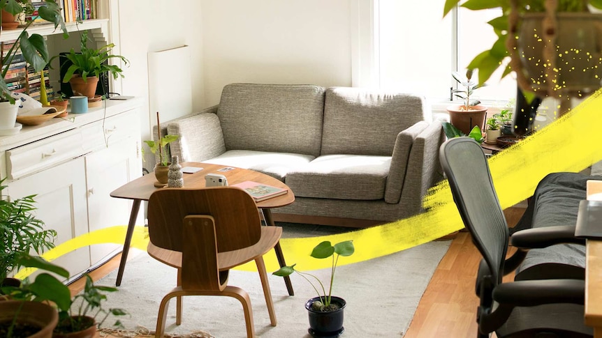 Photo of lounge room with indoor plans and couch for a story about what not to miss when inspecting a rental property.