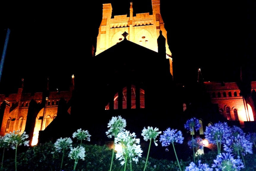 Newcastle's Christ Church Cathedral.