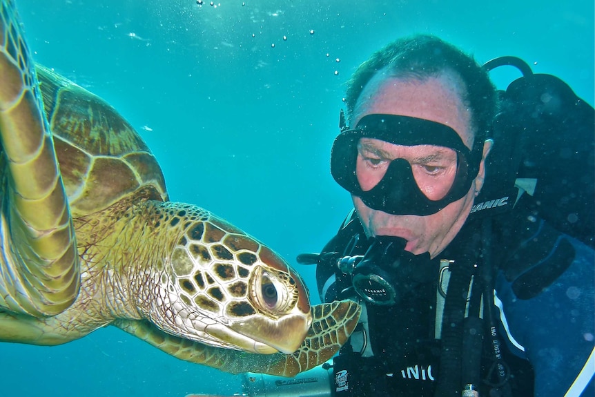 A male scuba diver face to face with a turtle in the water.
