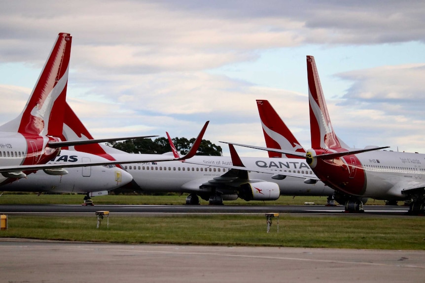 Photo of Qantas planes sitting stationary on the Sydney airport runway.
