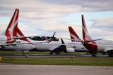 Qantas planes are parked on a runway during the coronavirus pandemic.