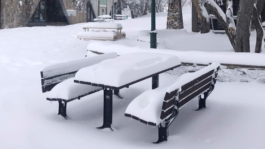 Park chairs and bench covered in white snow