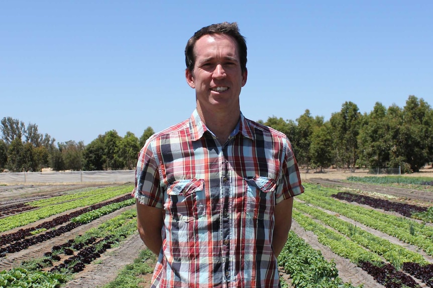 a man stands in a paddock with emerging crop behind him