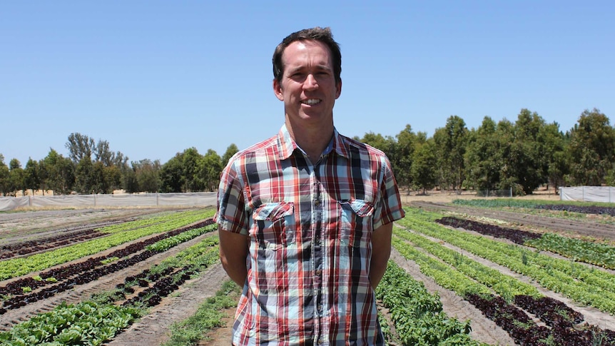 a man stands in a paddock with emerging crop behind him