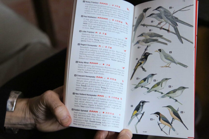 Greens senator Lee Rhiannon flicks through a book on bird species.