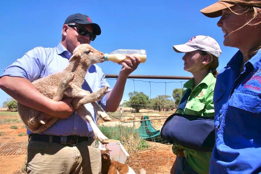 The PM holds a lamb, feeding it a bottle.