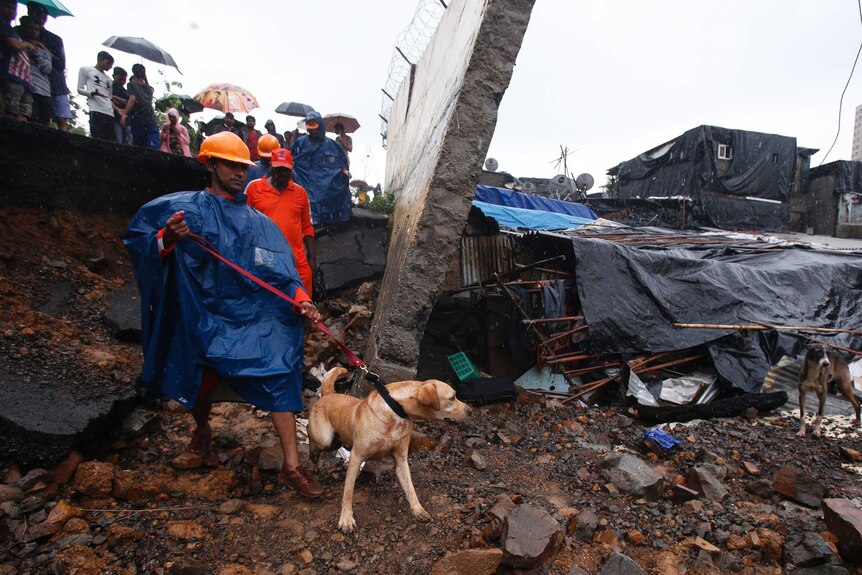 A man wearing a hard hat holds a dog on a leash, walking past a section of collapsed wall.