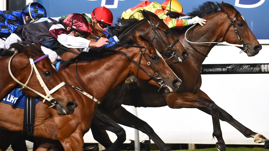 Lankan Rupee wins Manikato Stakes