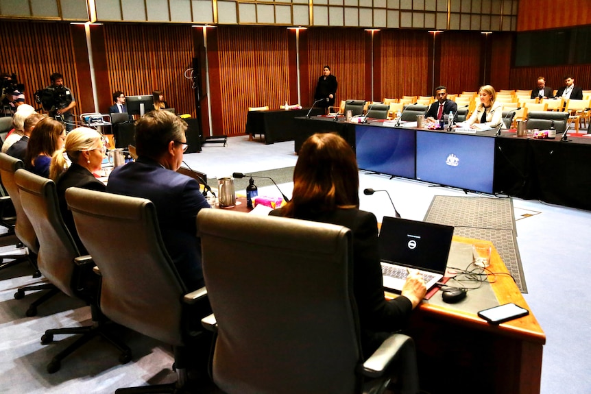 Backs of chairs at a long table in front of a woman sitting on a bench at a senate hearing inside a room with wooden walls.