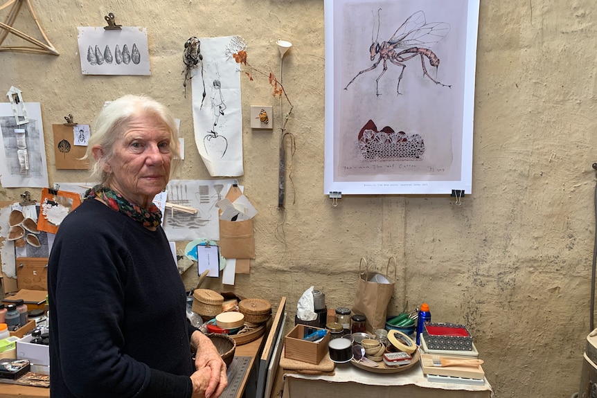 Josephine standing next to insect sketch.