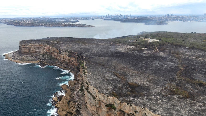 A drone photo of a burnt cliffside landscape with the city in the background