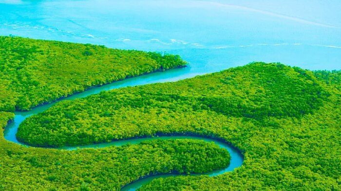 A river winding through rainforest, from above.