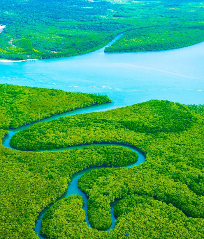 A river winding through rainforest, from above.