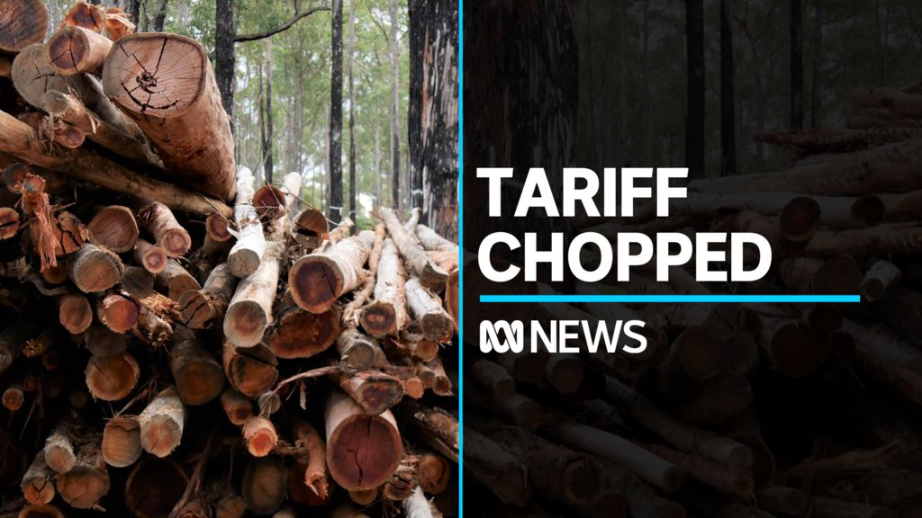 Ambassador says Australia can resume exporting timber to China - ABC News