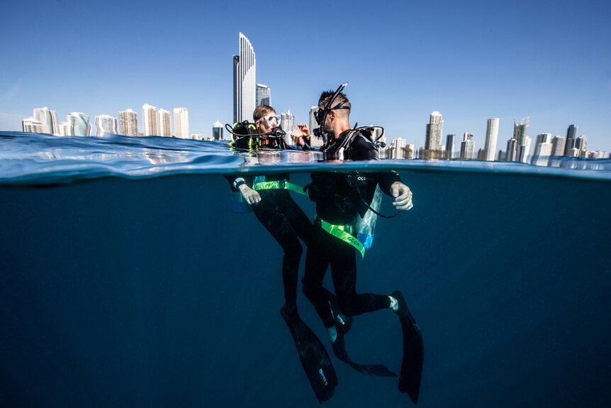 Two divers in the ocean with the Gold Coast skyline in the background.