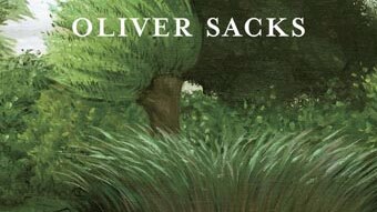 The cover of Oliver Sacks' book, The River of Consciousness.