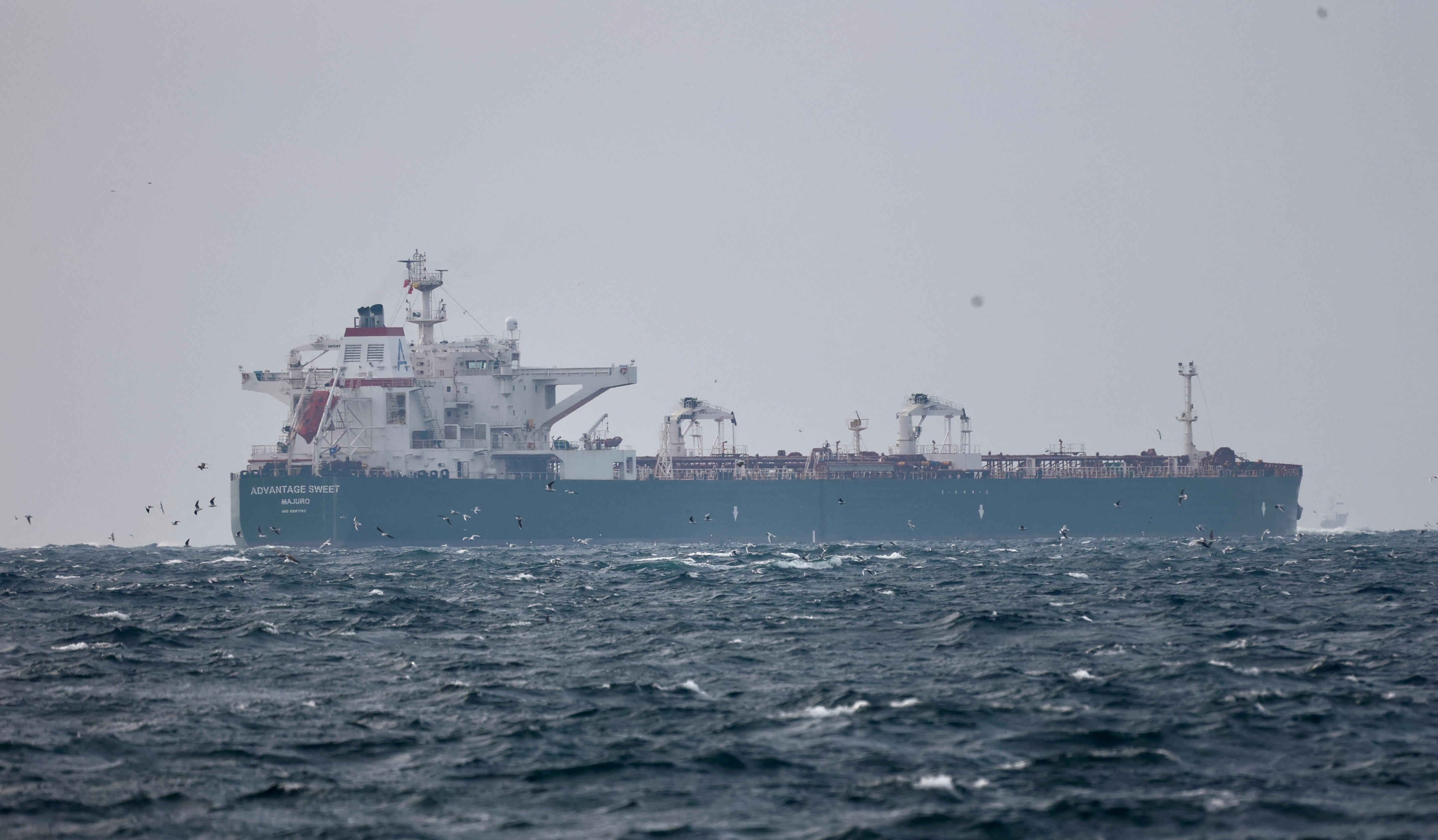 A blue and white oil tanker sails across a choppy sea with lots of birds flying around it.