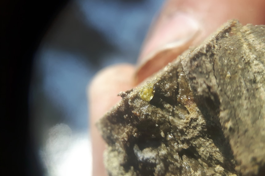 Close up of a piece of rock with glass shard in it