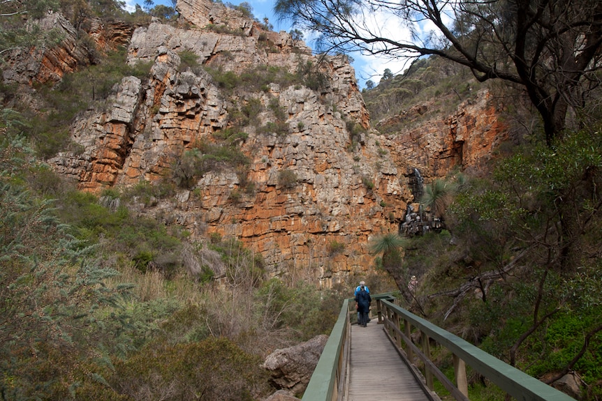 The walkway to First Fall at Morialta.