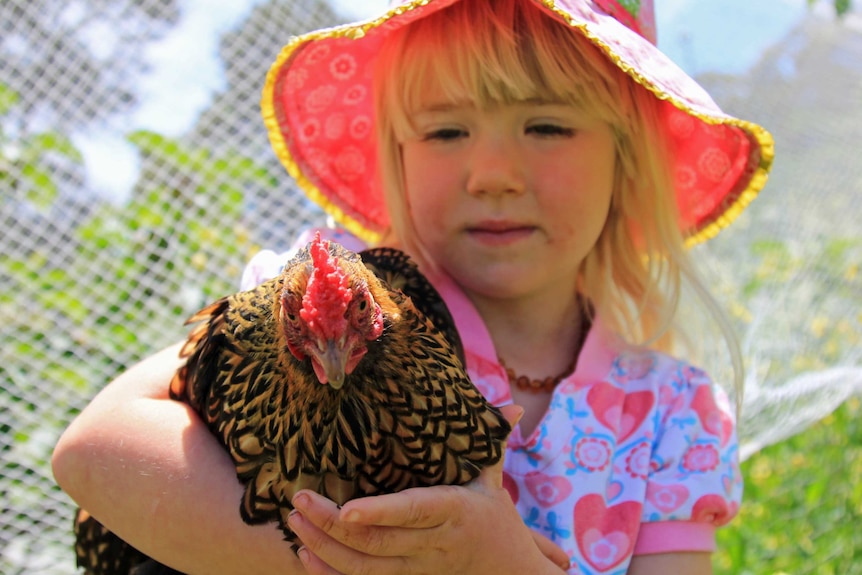 Young girl holding a chicken