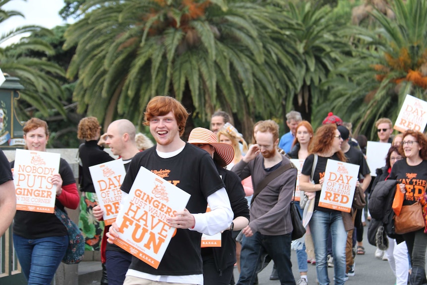 Red-haired marchers carry sign, reading 'Day of the walking red' and 'Gingers just want to have fun'.