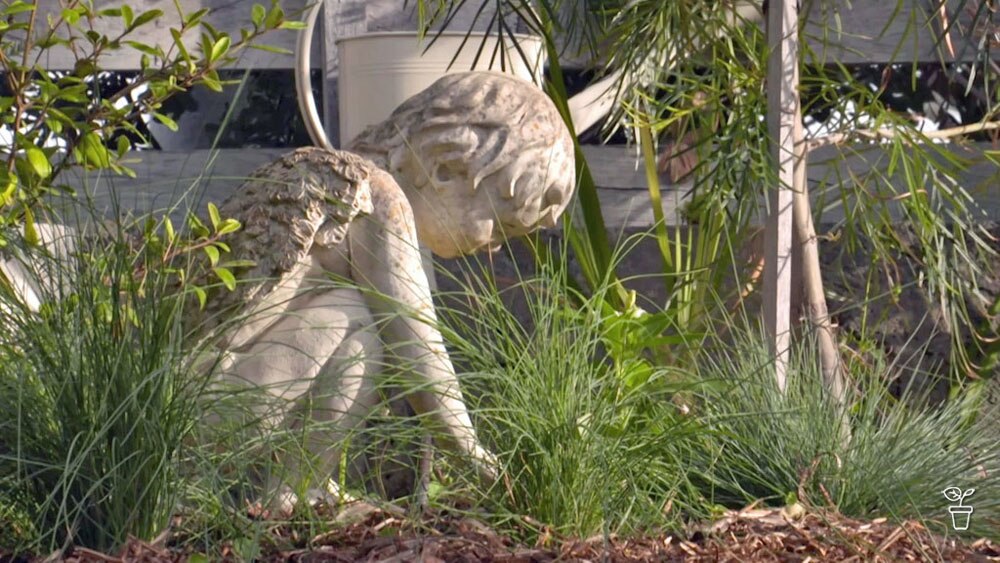 Hidden Heritage - Gardening Australia