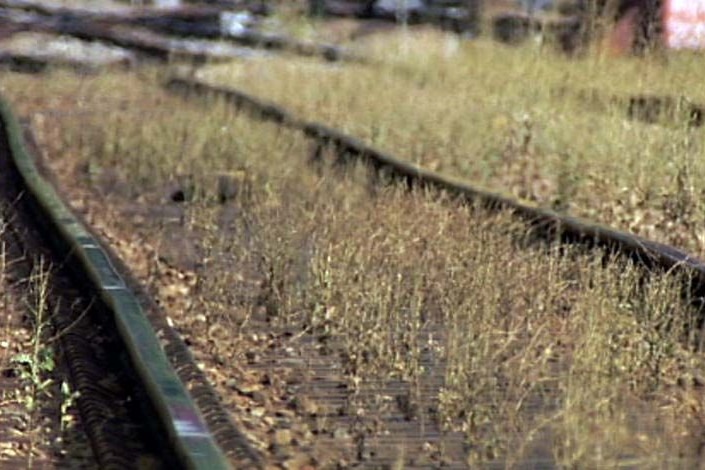 Heatwave: Buckled train tracks on the Noarlunga line in Adelaide.