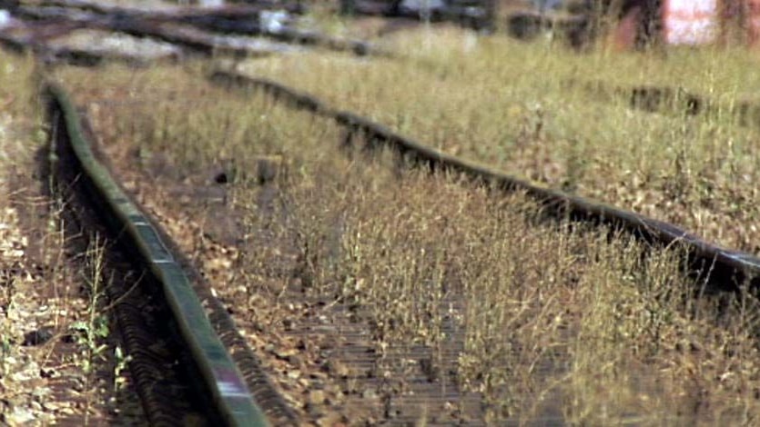 Heatwave: Buckled train tracks on the Noarlunga line in Adelaide.