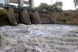 Gates of the Torrens weir