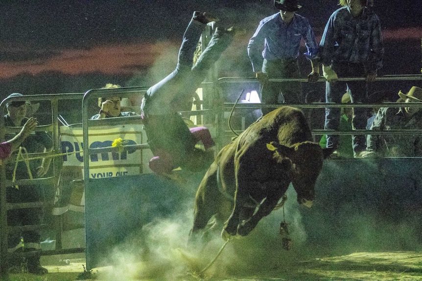 Bull rider thrown off