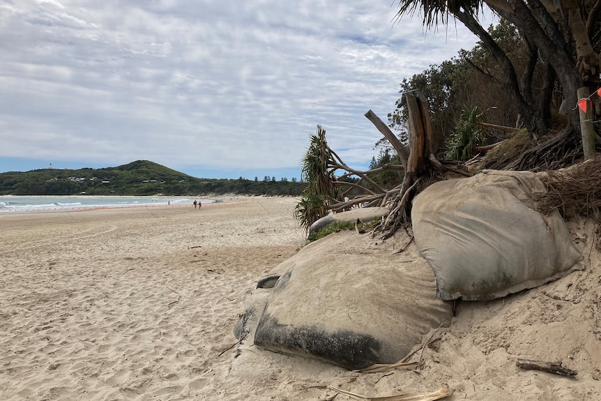 A large sand bag and a fallen tree on Byron Bay's Main Beach.