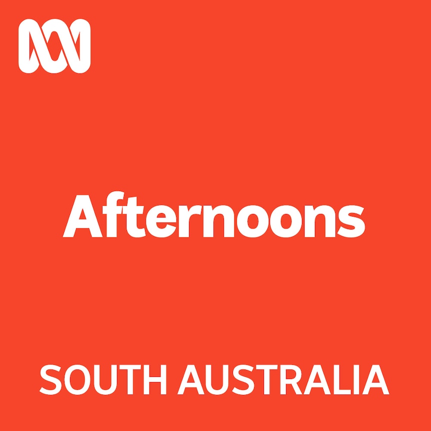 Afternoons program graphic.