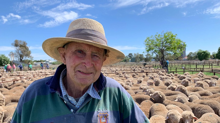 An elderly farmer leans against a fence with pens of sheep in the background.