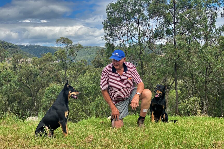 A man kneeling down beside two black and tan dogs