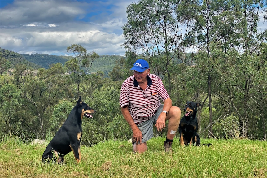 A man kneeling down beside two black and tan dogs
