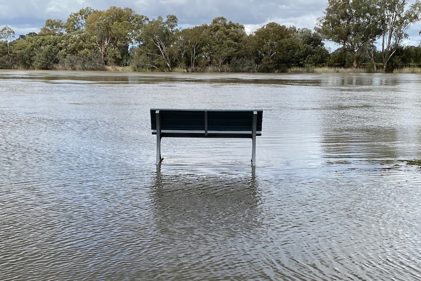 A bench seat flooded by water from a nearby river. 