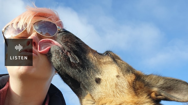 A woman is licked on the face by a dog. Has Audio.