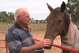 A man standing next to a horse.