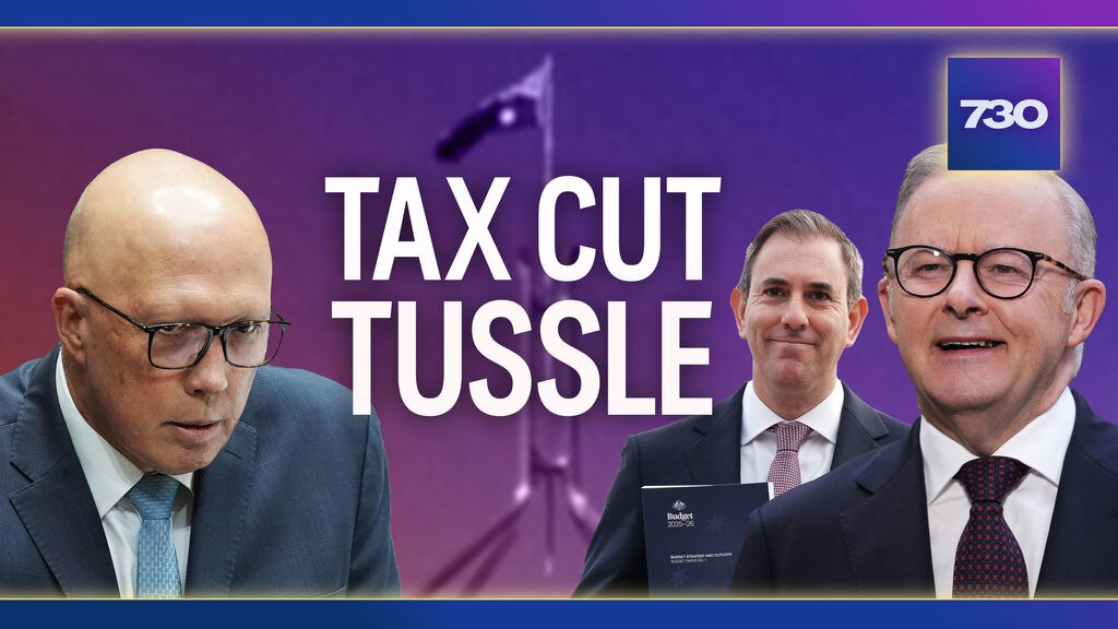 Surprise income tax cuts included in budget - ABC News