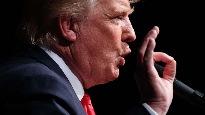 Mr Trump gestures with his hand while speaking into a microphone.