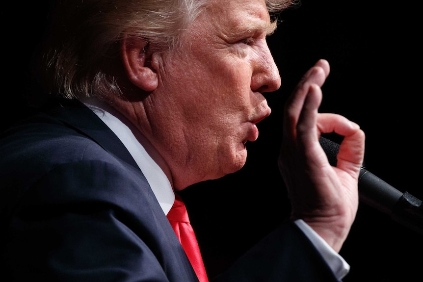 Mr Trump gestures with his hand while speaking into a microphone.