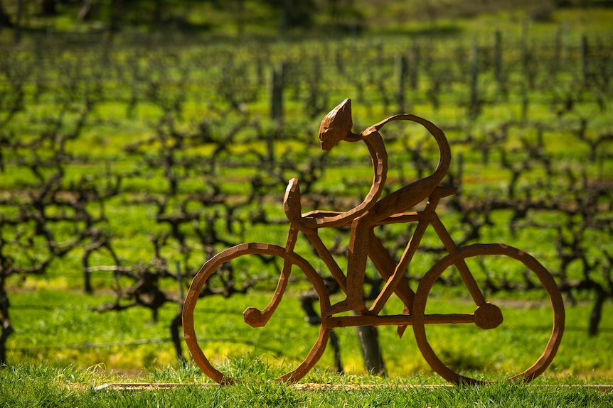 A sculpture of a cyclist with a vineyard in the background.