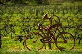 A sculpture of a cyclist with a vineyard in the background.