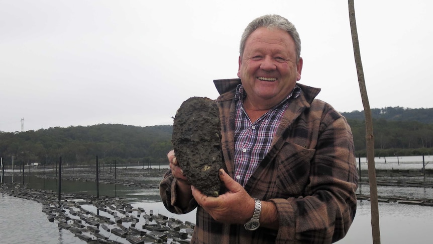 Bernie Connell holds up a big oyster for the cameras at his oyster farm.