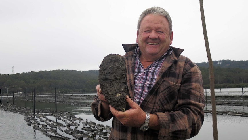 A man holds up a big oyster for the cameras at his oyster farm.