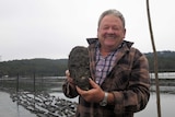 A man holds up a big oyster for the cameras at his oyster farm.