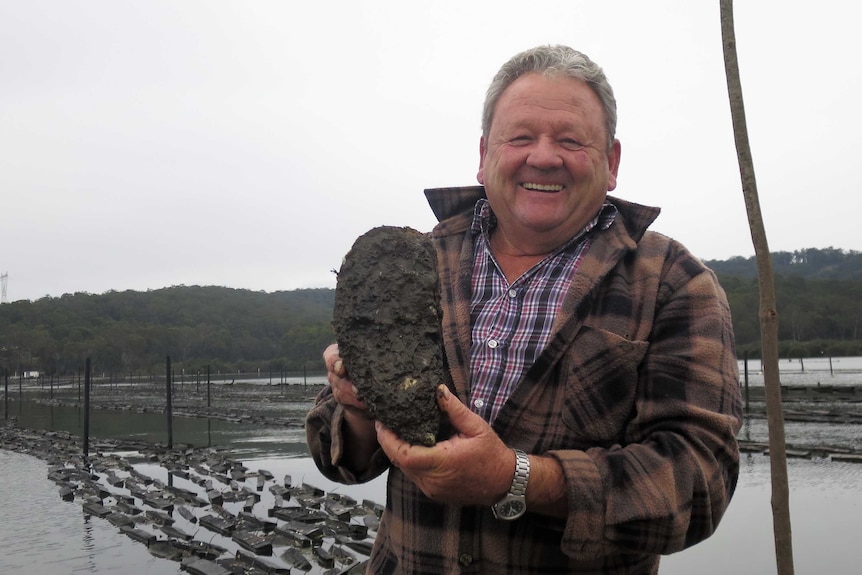 A man holds up a big oyster for the cameras at his oyster farm.