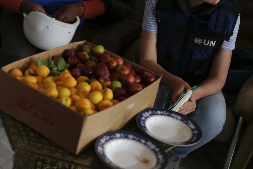 United Nations and World Food program members sit beside a box of fruits.