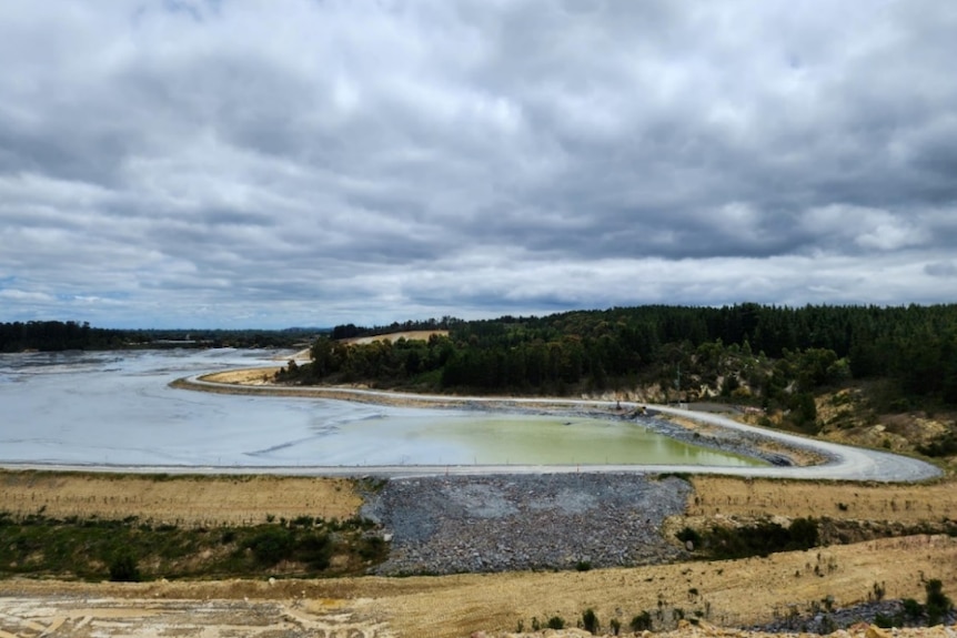 A large gold mine dam filled with slurry and pine trees next to it 